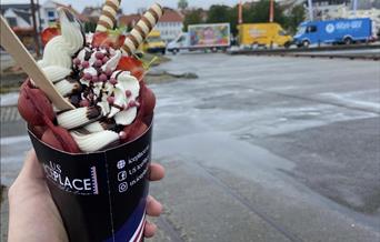 US IcePlace