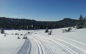 Skiturer Blefjell