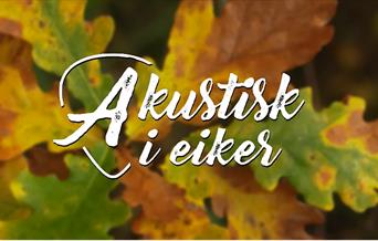 Akustisk i Eiker