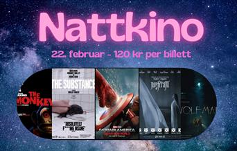 Nattkino