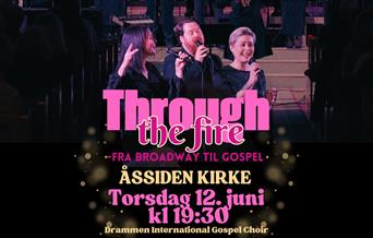 DIGC i Åssiden kirke