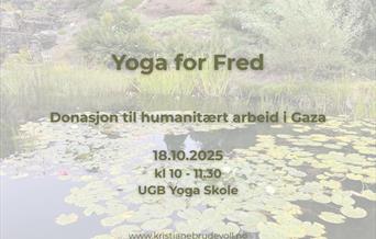 Yoga for Fred