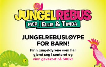 Jungelrebus Alti Bukerud