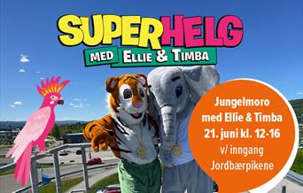 Jungelmoro bilde