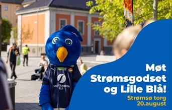 strømsgodset