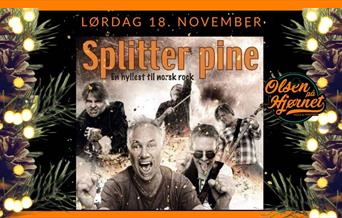 Splitter Pine