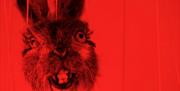 Fra forestillingen Antropophagic fables for fascist days - voksenforestilling 11.oktober kl.19.00.