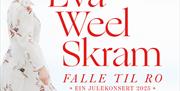 Produktbilde