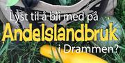 Bragernes samdyrkelag
