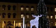 Julegrana i mørket