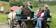 Kjøretur med hest og vogn