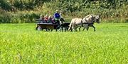 Kjøretur med hest og vogn