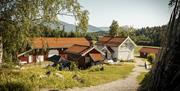 Portåsen, tunet