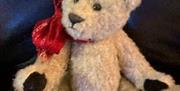 Teddybjørn