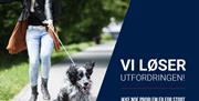 Er du lei av å bli dratt rundt på tur av din firbente venn?  Vel, da er det på tide å melde deg på vårt hverdagslydighets kurs!