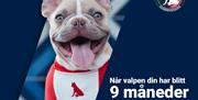 Vi har garanti.
