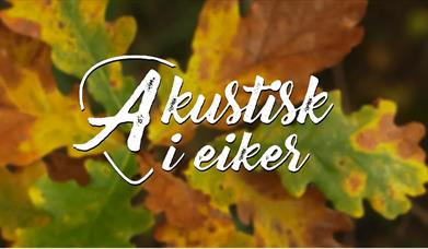 Akustisk i Eiker