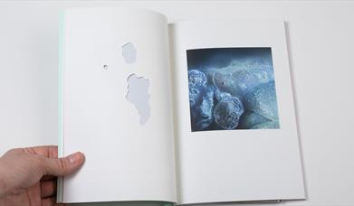 Kunst: Bli med å lag din egen unike bok med kunstneren Marie Sjøvold