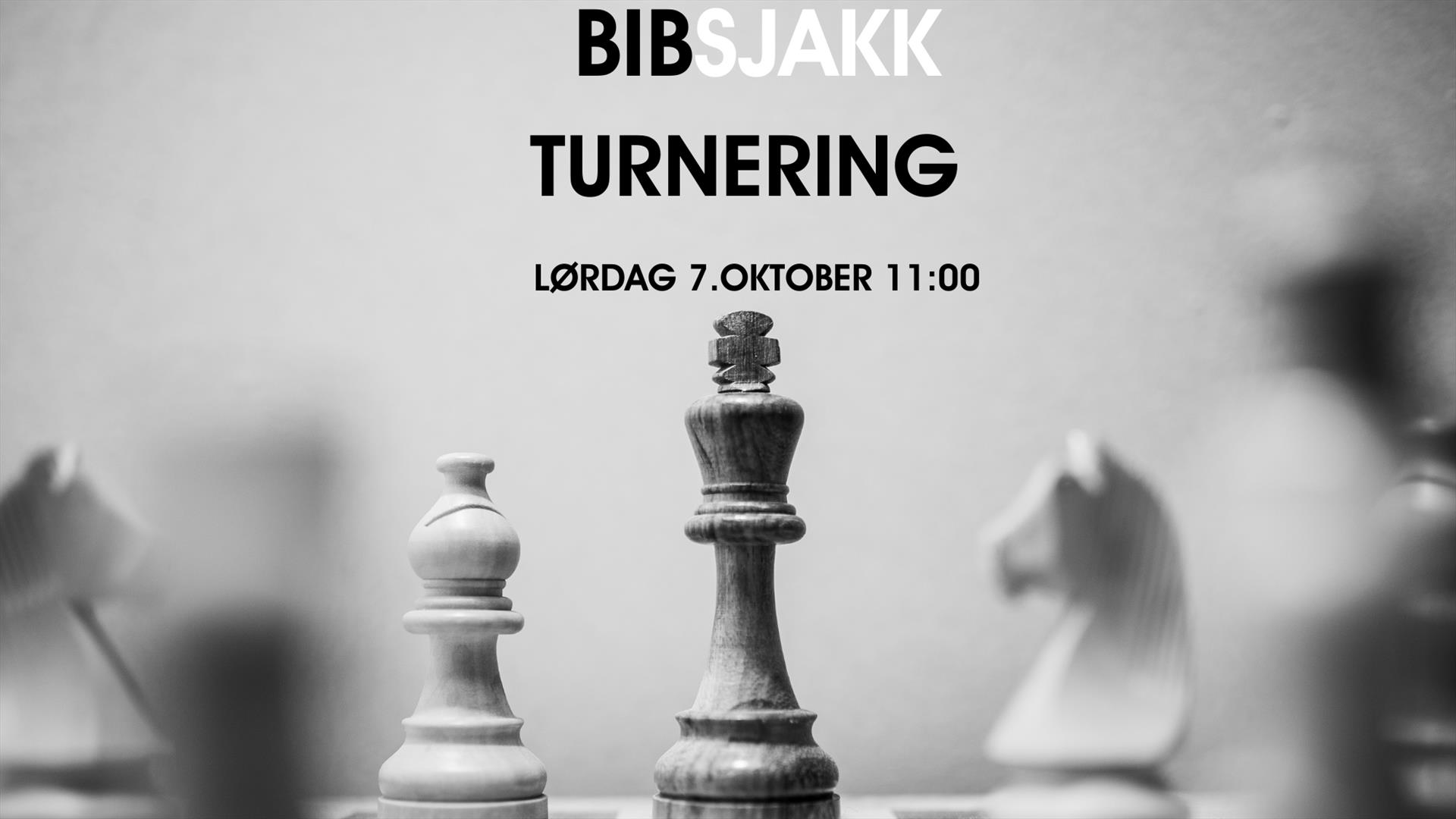 BibSjakk turnering