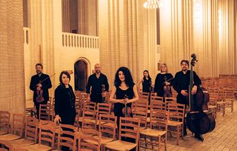 Scandinavian Chamber Soloists. Foto: Anne Mortensen
