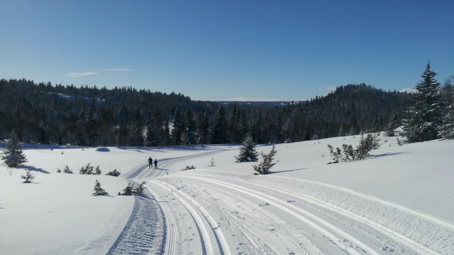 Skitur på Holtefjell
