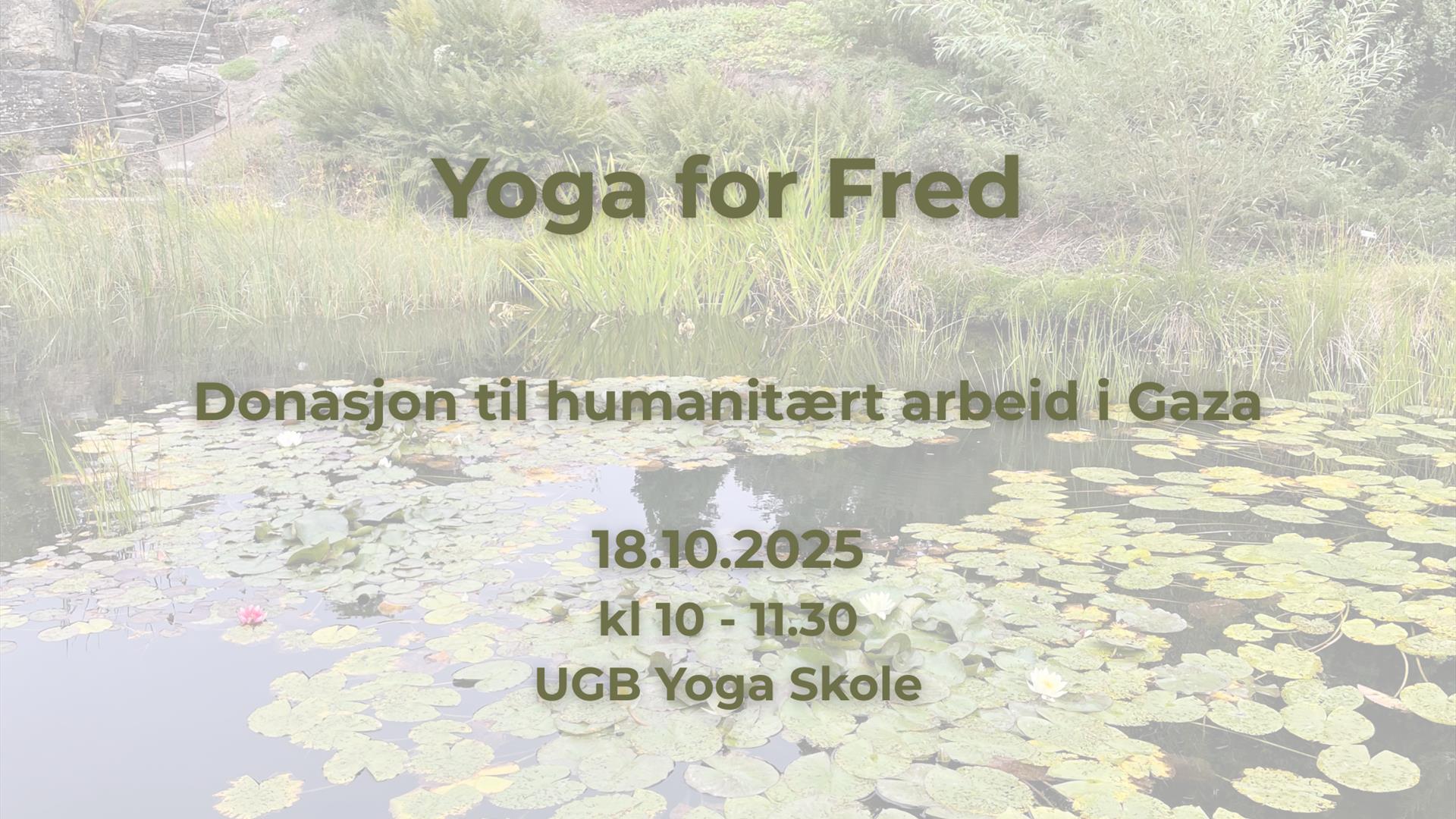 Yoga for Fred Yoga for Fred